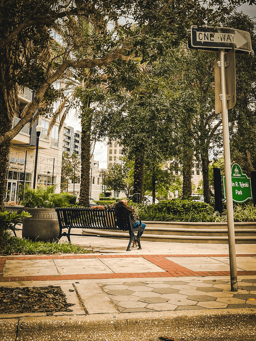 Dlawr: Photo a Day #267