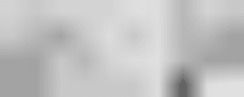 LYAM_319_10X4_21020021121121122222118321120020018316320022119922118218316216316220018221122122218316216216316320020020020022186221229_1:1000_bilinear