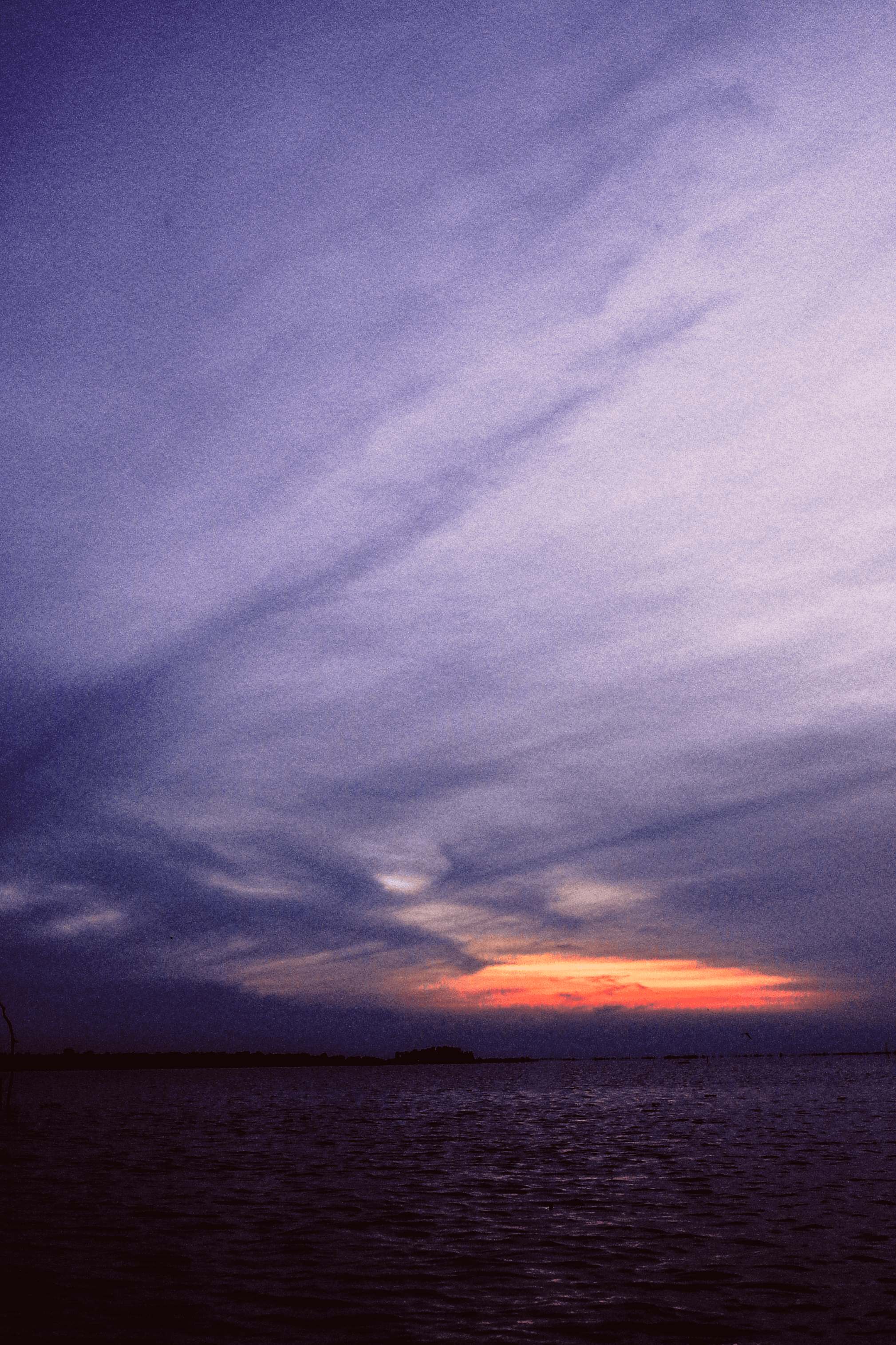 Ordinary days #6
