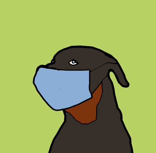 CryptoSami #196