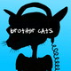 Brother Cats - Unsuccessful Experiments