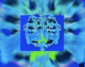 EmmeCoin