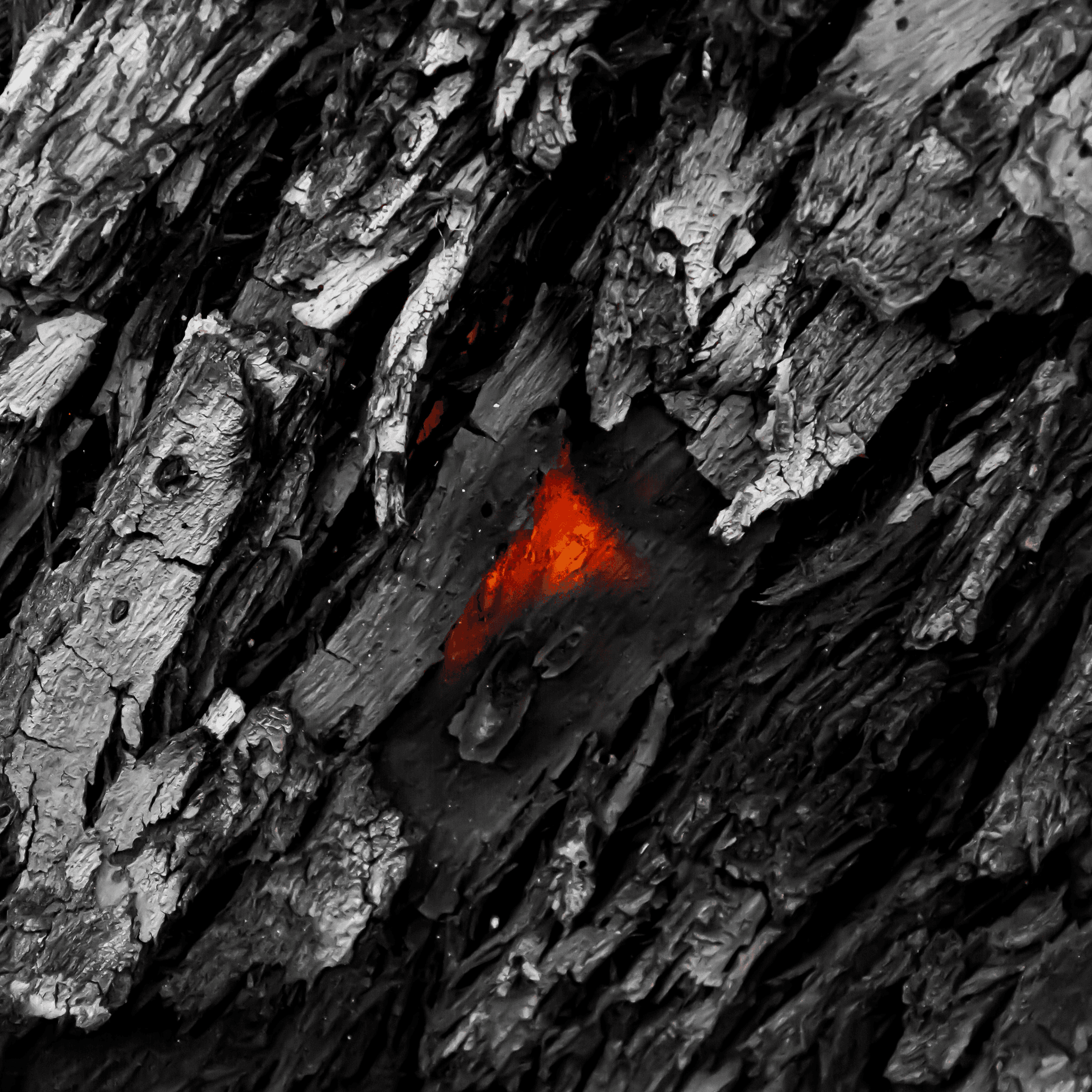 KA Photography Collection OpenSea