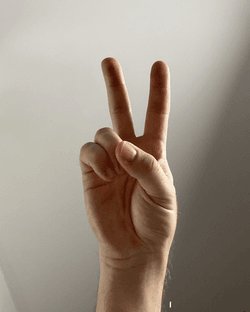 Peace Sign Hands (Limited Edition of 33) collection image