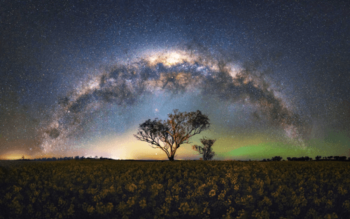 A Cluster of Stars