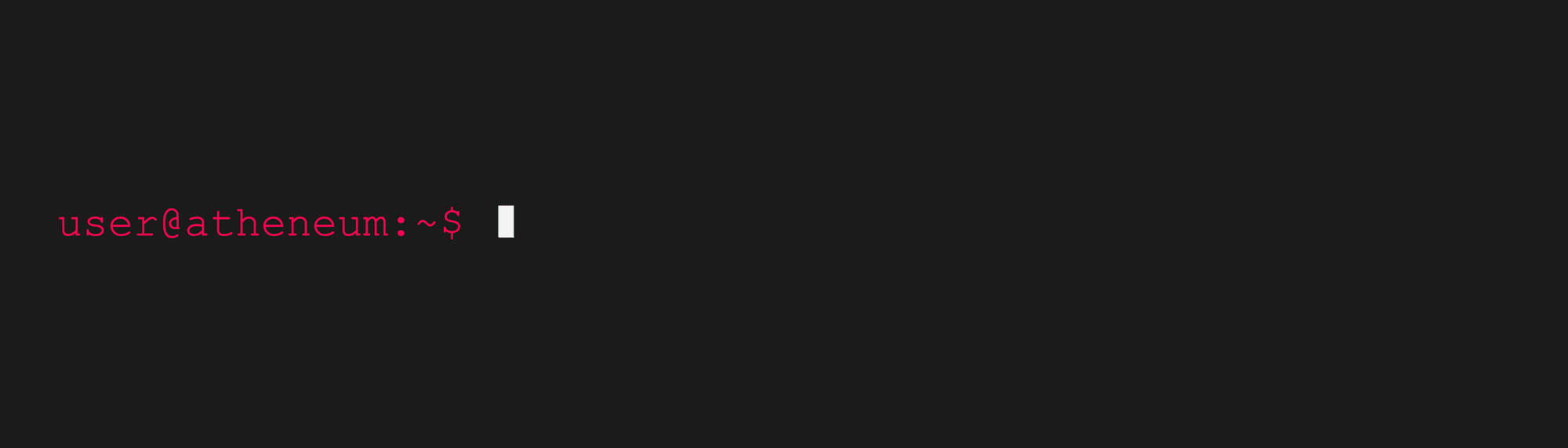 Banner