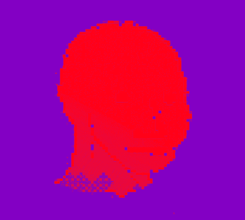NPC #204