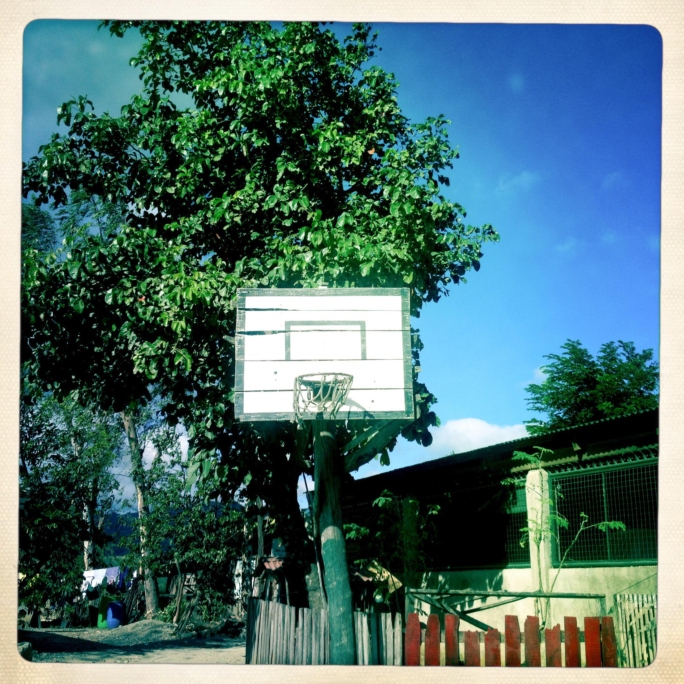 Basketball Landscape #18
