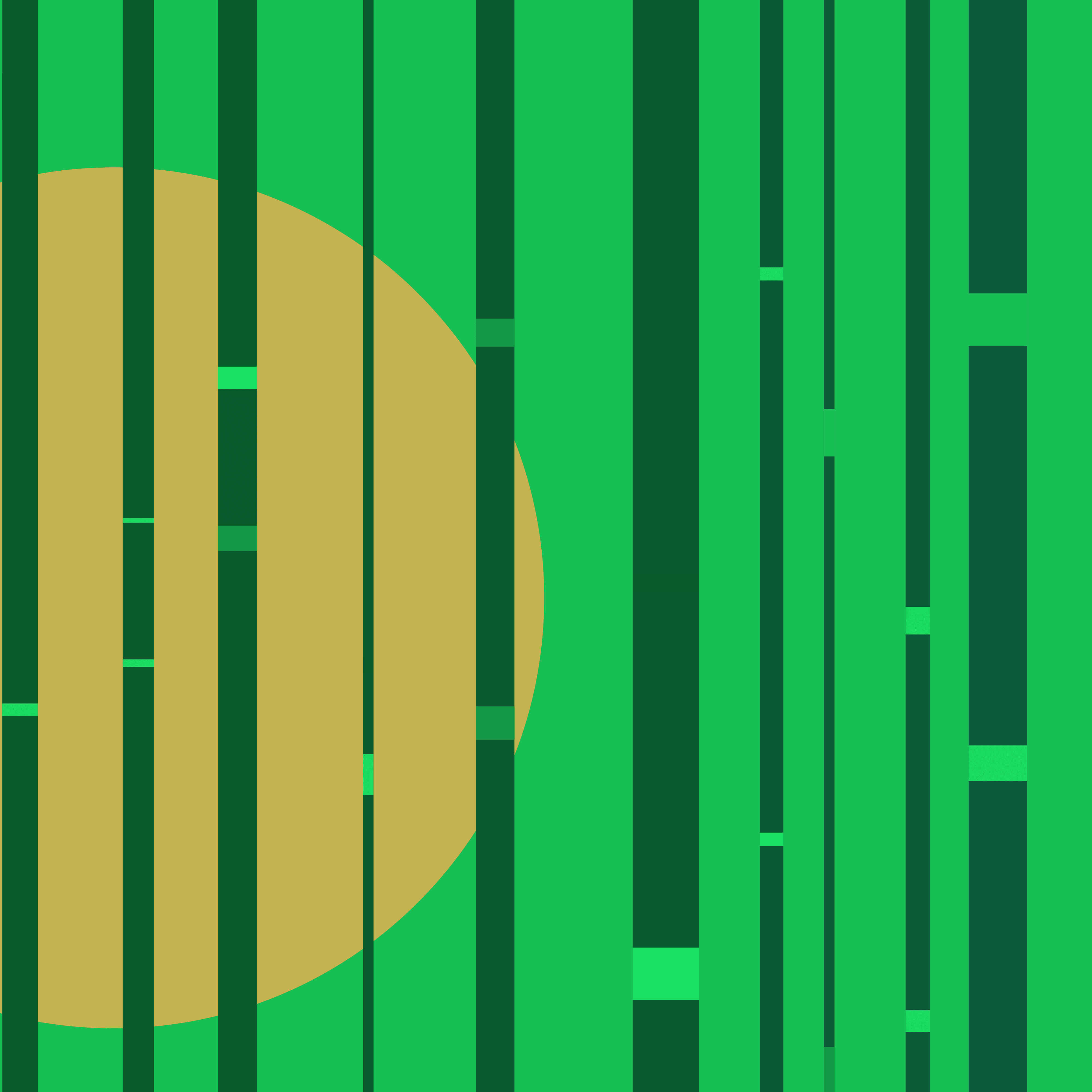 Bamboo Moon 0013