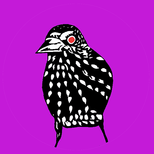 Demon Starlings