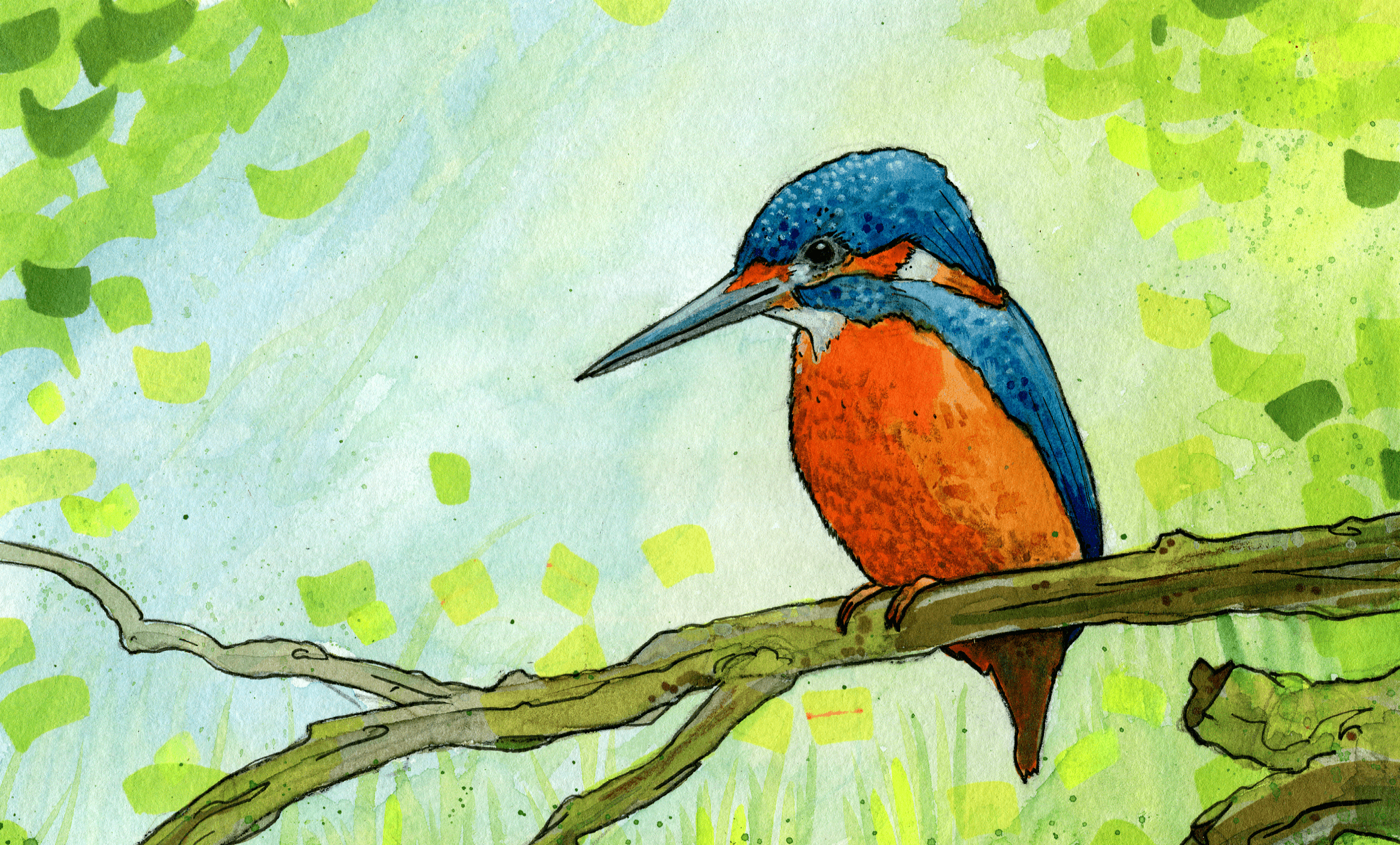 King Fisher I #02