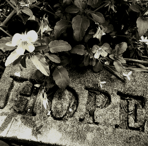 Lost and Hopeful Soul