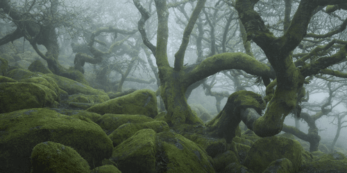 MYSTICAL XXXI (PORTAL)