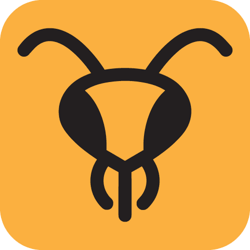 HoneyGangBees