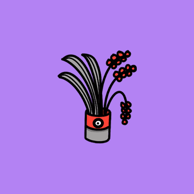 Intuitive Plant