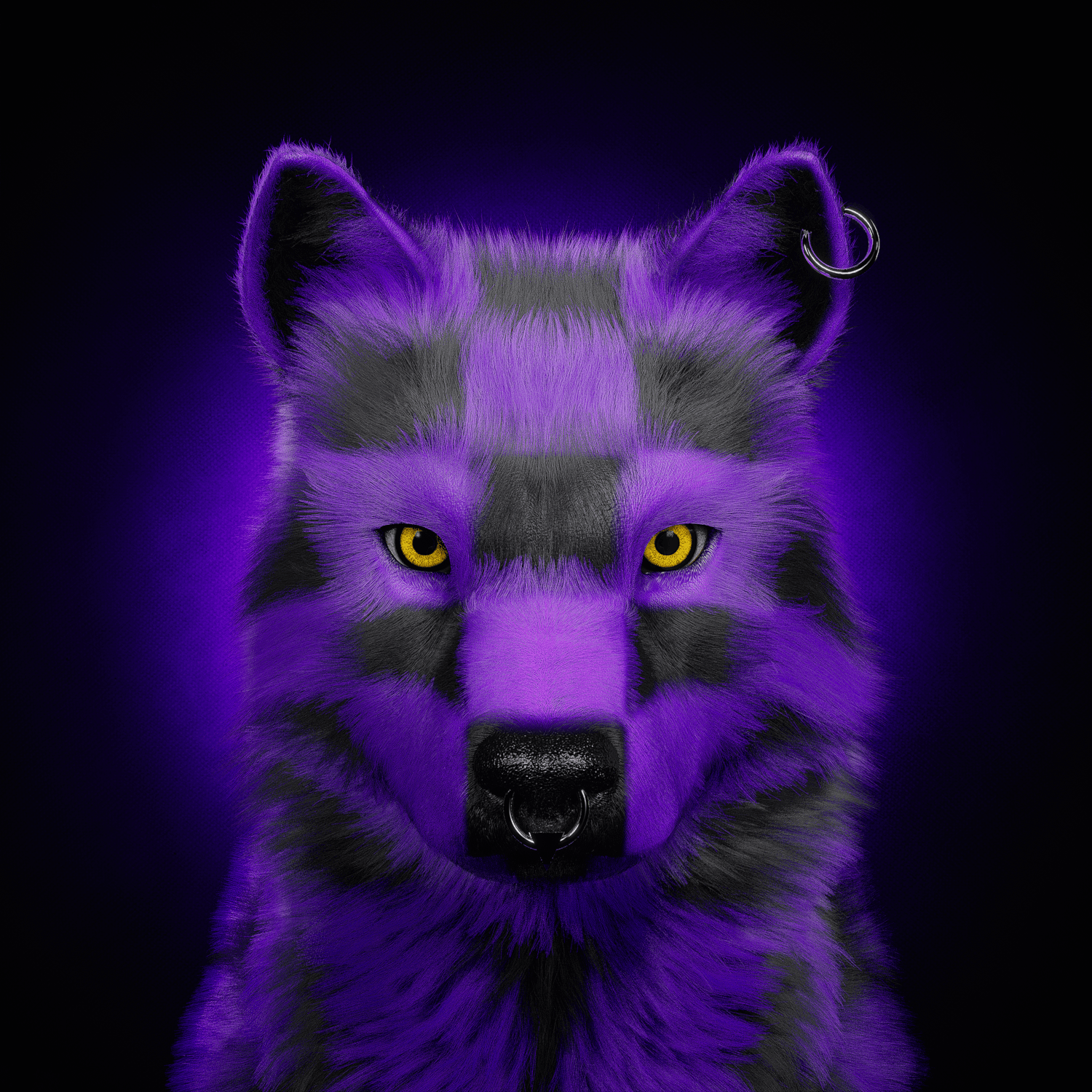 Wolf #1279