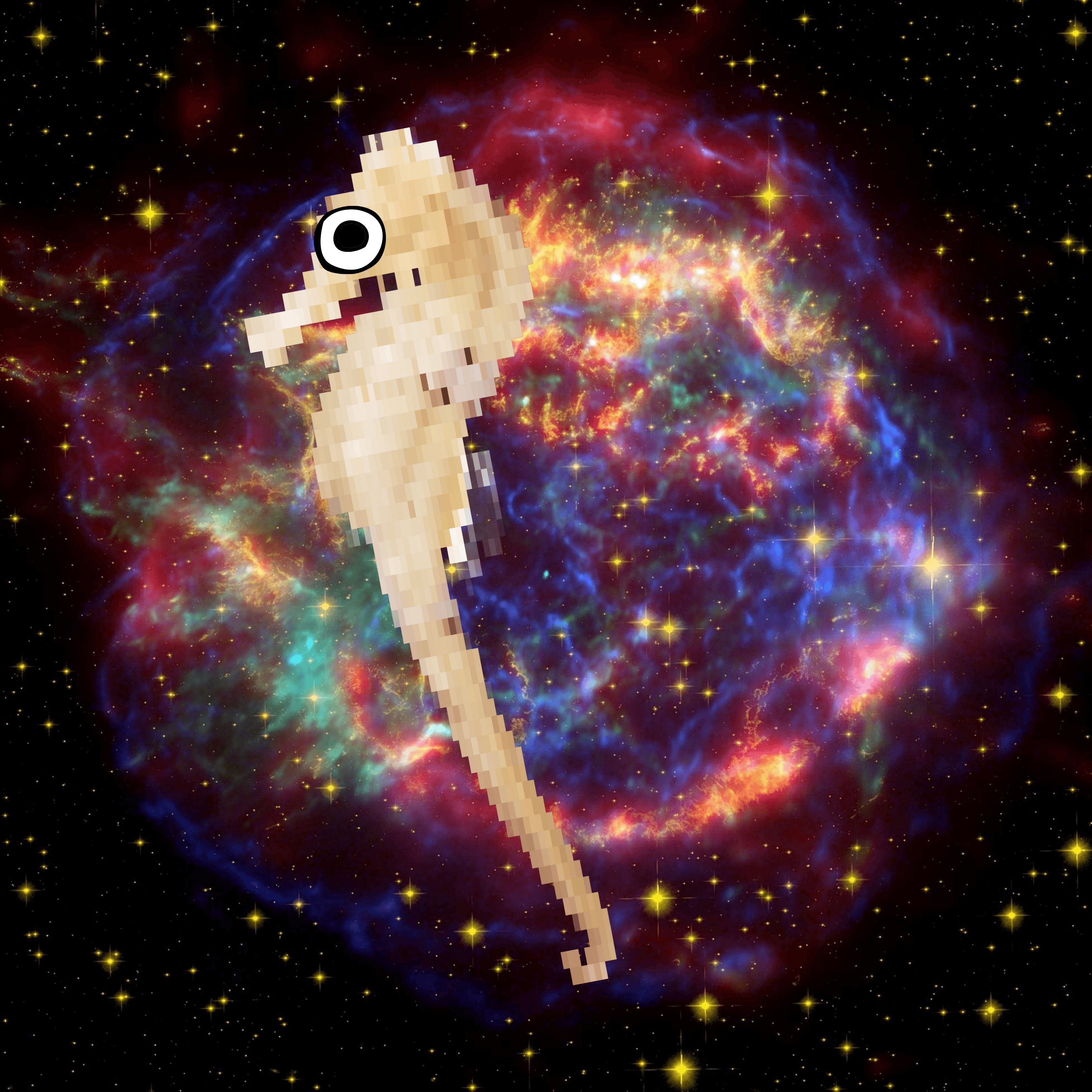 Seahorse in Space XVIII