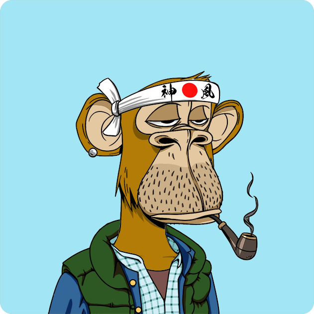 Mr_Monkeyagi
