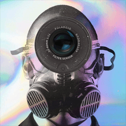 MrDheo Polaroids collection image