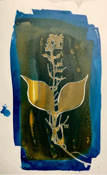 Wildflower #3