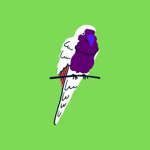 ParrotStoria #41