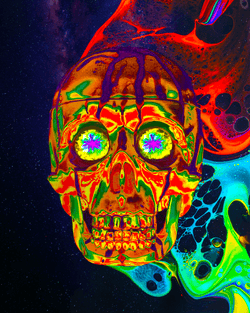 Psychedelic Craniums collection image