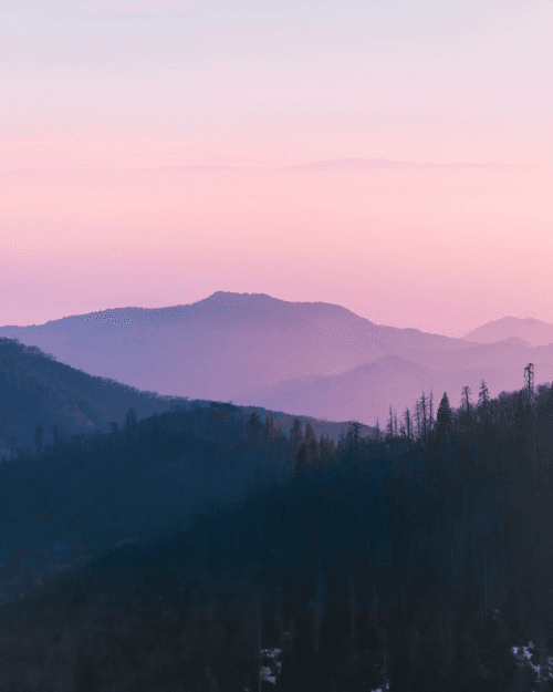Sunset in Sequoia #2