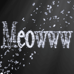 Meowww Showcase NFT Auction collection image