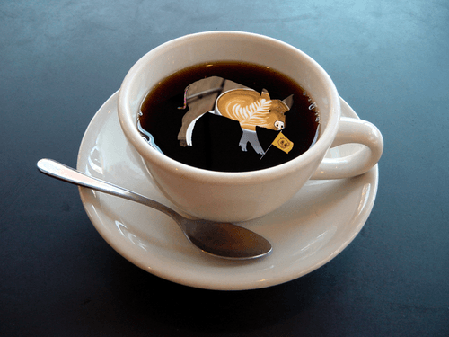 Coffee Pig