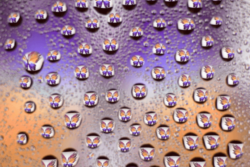 drops and macro