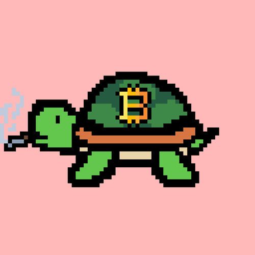 Tiny Turtle #100