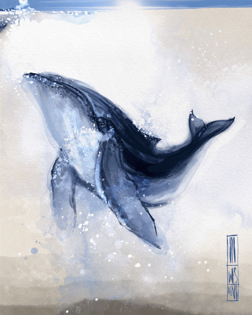 The Whale | Wes Henry 2022