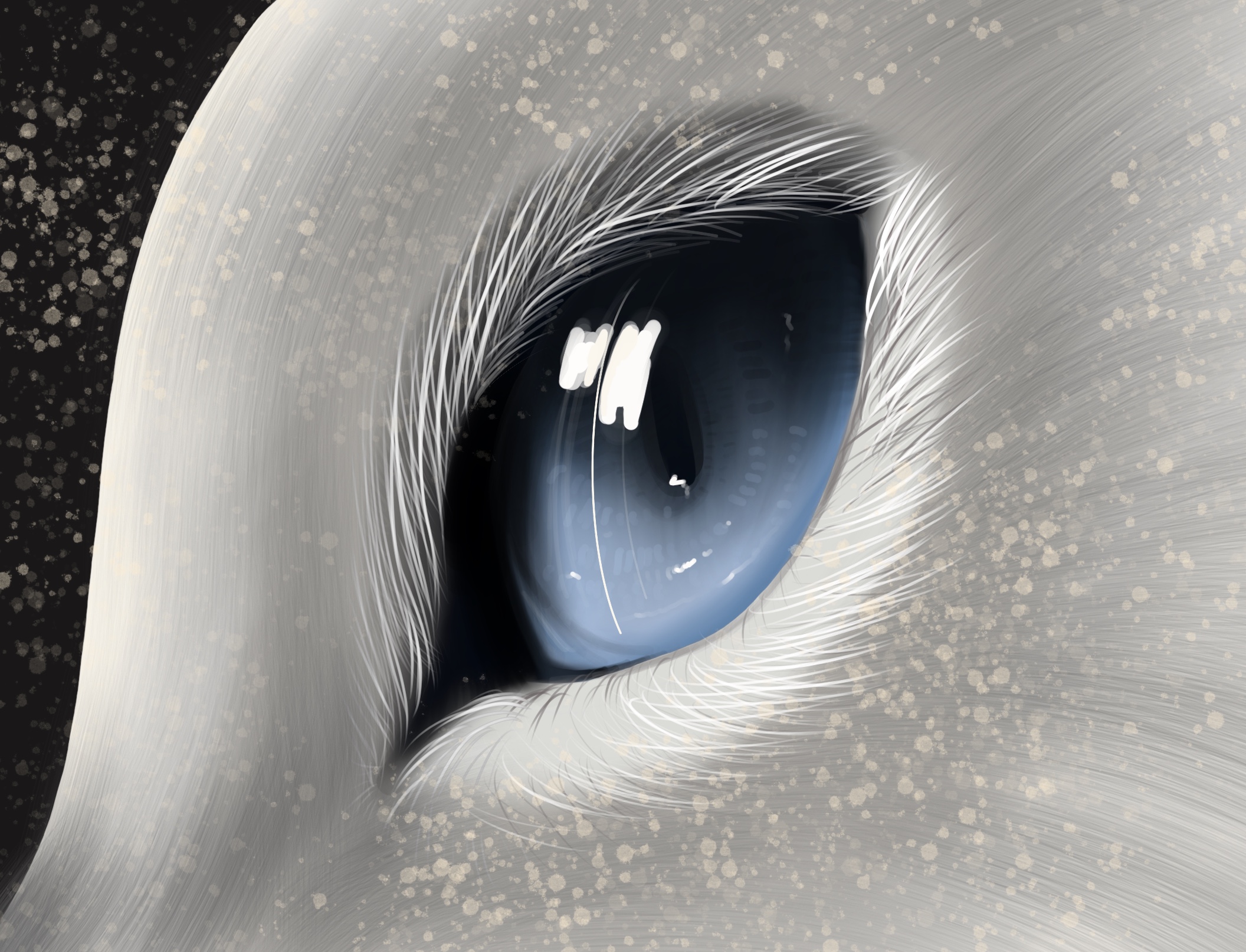 procreate animals Collection OpenSea