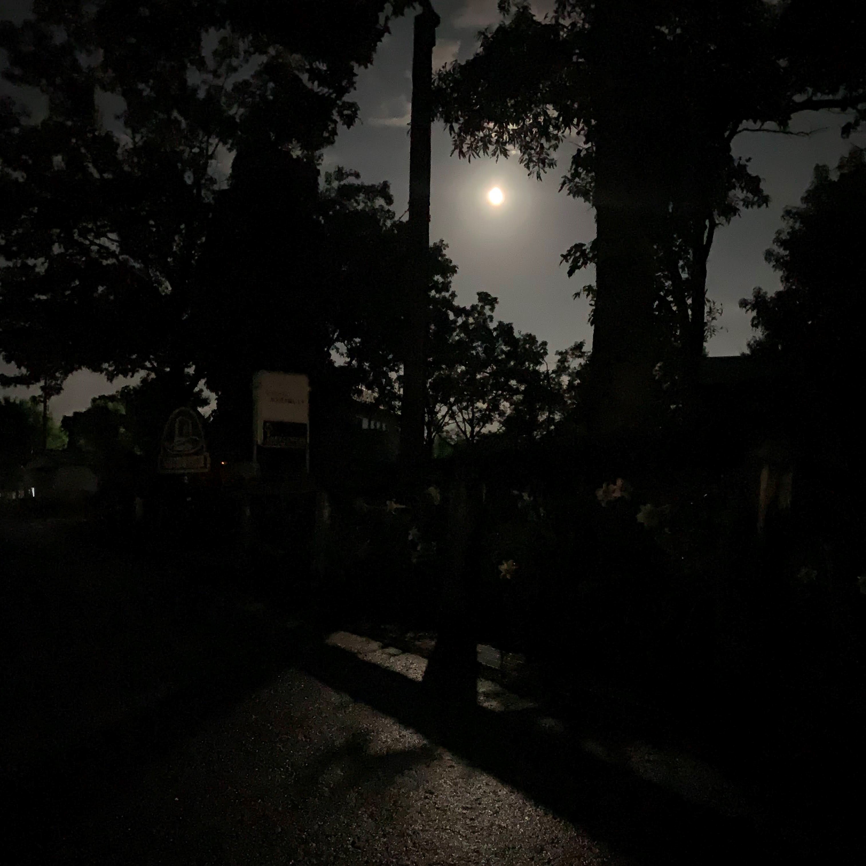 moonlight walk ～月夜の散歩～