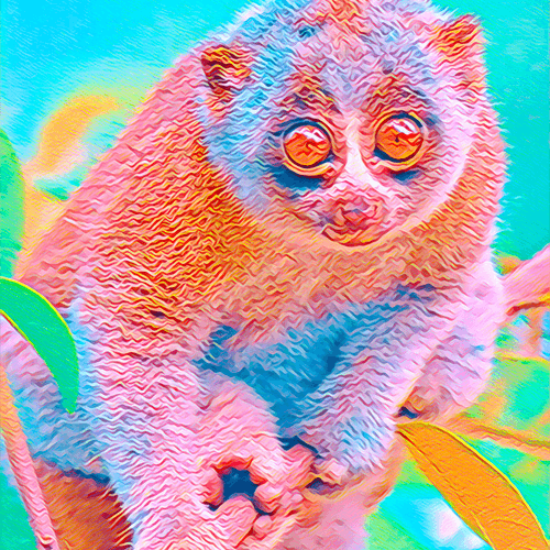 Pink Lemur picture image