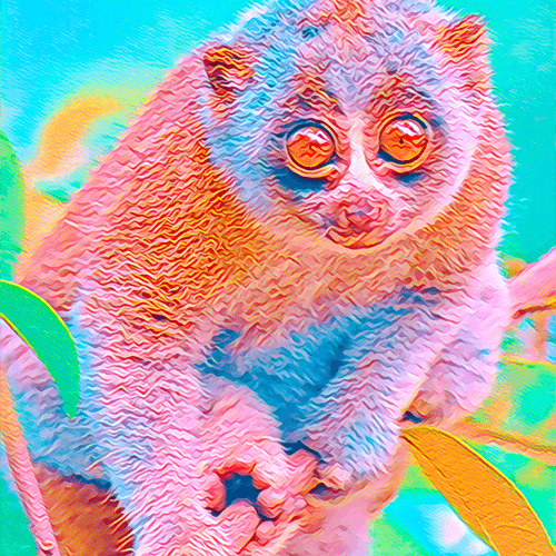 Pink Lemur afbeelding