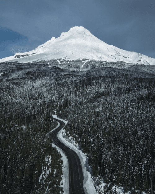 Winter's Chase