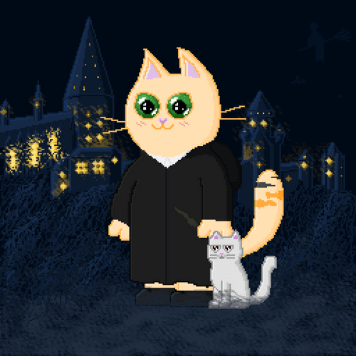 Cat no 122