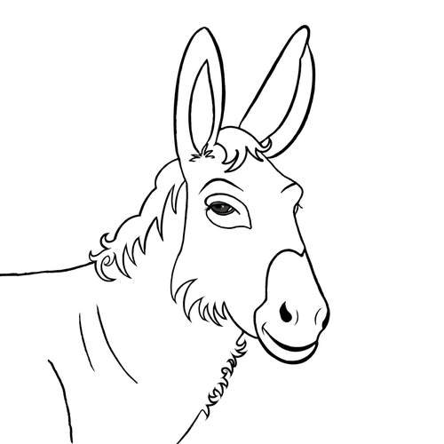 Dinkey Donks