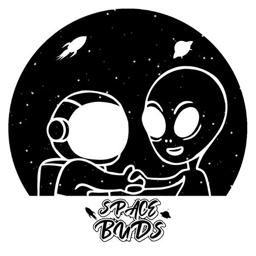 Space Buds Collabs/Art