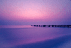 Purple sea. collection image