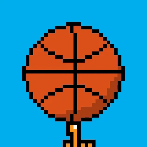 SPORT BALLS
