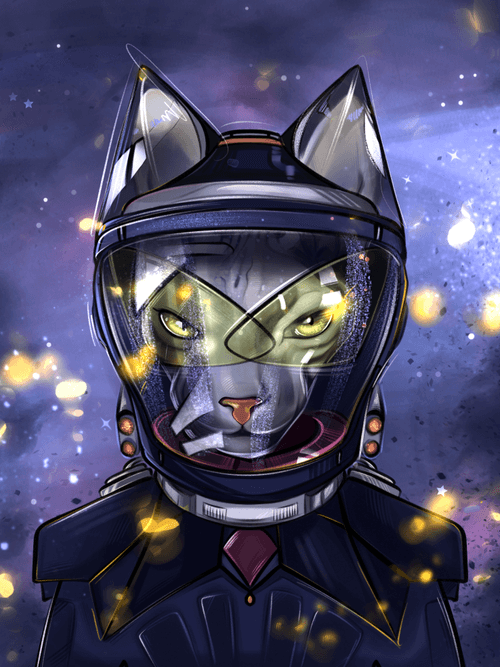 Sphynx cat 