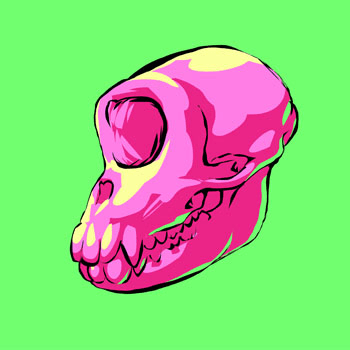 PK. Skull