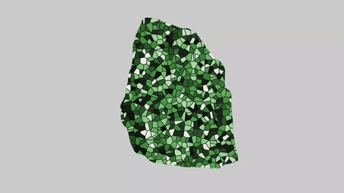 Voronoi Rock #14