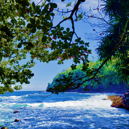 7 Days in Paradise