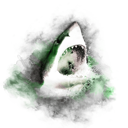 GREEN SERIES - SHARK