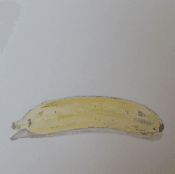Bananas for All