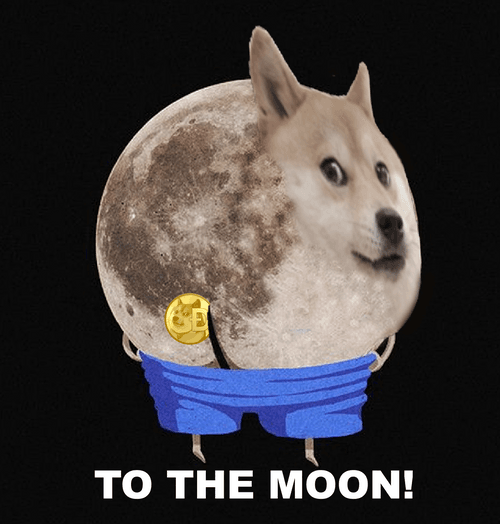 Dumb Doge Memes