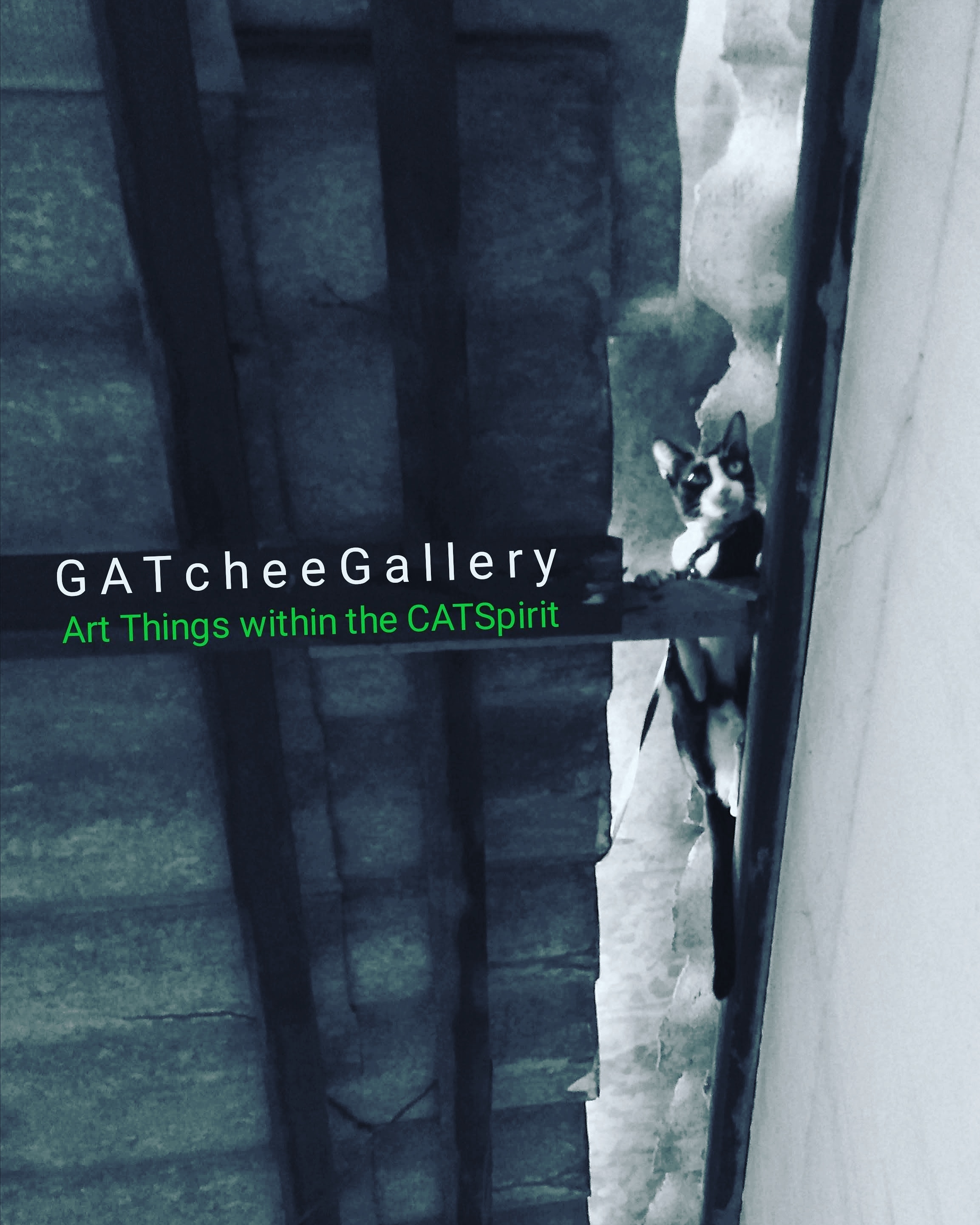 GATchee GallerY (1)
